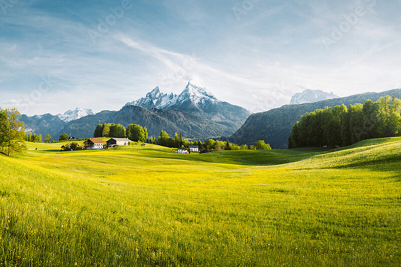 Content_Themen_Dummy1