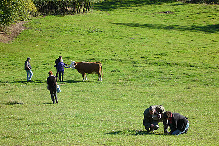 Naturschutzorientierte Beweidung erfordert das Miteinander vieler Expertinnen und Experten (Bild: Bettina Burkart-Aicher) Auf einer kurzrasigen Weidefläche mit Gehölzsaum sind verschiedene Personen zu sehen, zwei nehmen Kontakt zu einem Weiderind auf, zwei knien am Boden und zwei bewegen sich über die Fläche.