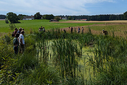 Exkursion des BANU-Kurs Feldherpetologie - Amphibien. (Foto: Anja Gellert) Eine Gruppe Menschen steht an einem Gewässer.