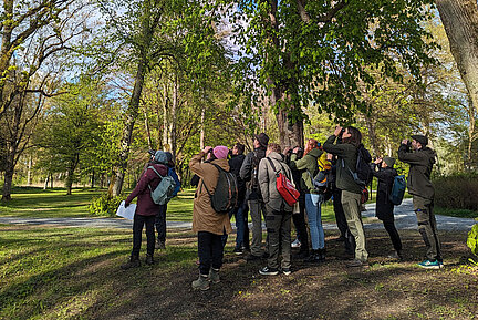 Teilnehmerinnen und Teilnehmer einer Ornithologie-Exkursion. (Foto: Anja Gellert) Eine Gruppe Menschen schaut in den Himmel.