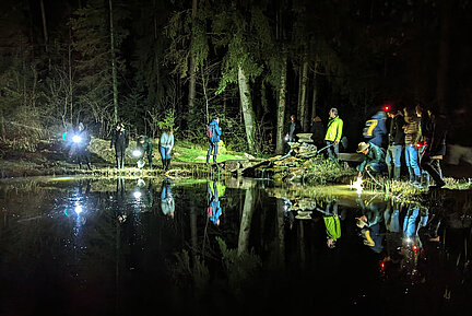 Nachtexkursion des BANU-Kurs Feldherpetologie - Amphibien. (Foto: Anja Gellert) Eine Menschengruppe läuft im Dunkeln an einem Gewässer entlang.