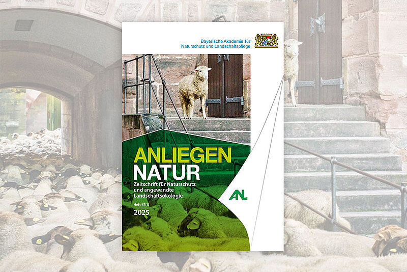 Titelbild Anliegen Natur 47/1 2025 mit einer Schaftherde bei einem Bauernhofgebäude