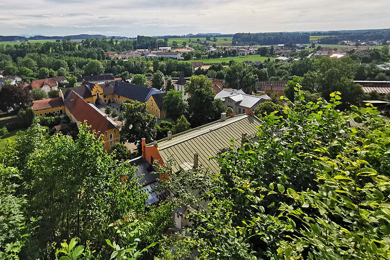 Grüne Landschaft mit Häusern dazwischen.